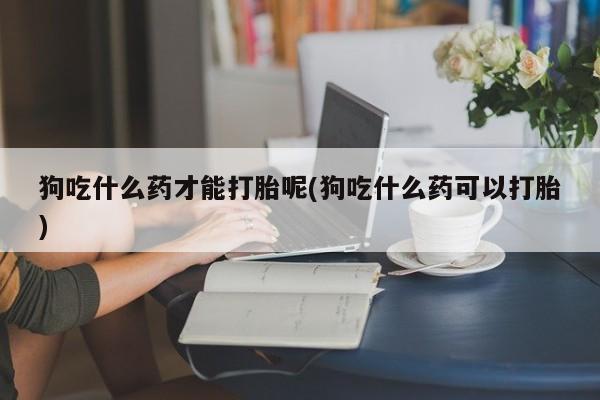 正品堕胎药咨询购买狗吃什么药才能打胎呢(狗吃什么药可以打胎)
