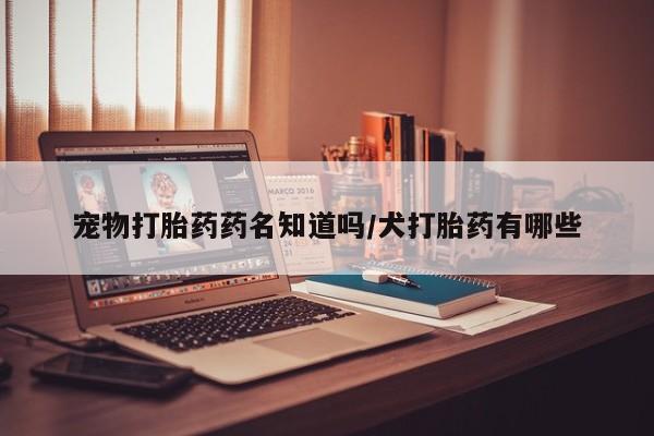 正品堕胎药咨询购买宠物打胎药药名知道吗/犬打胎药有哪些