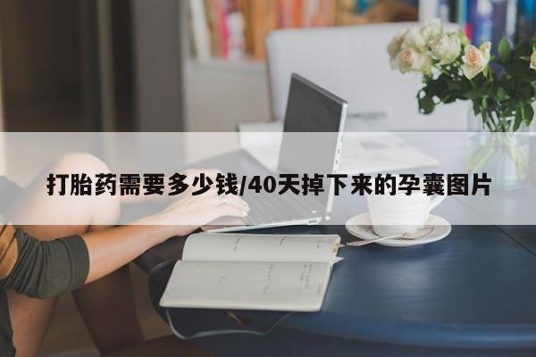 正品堕胎药咨询购买打胎药需要多少钱/40天掉下来的孕囊图片